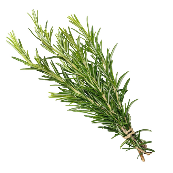 Rosemary